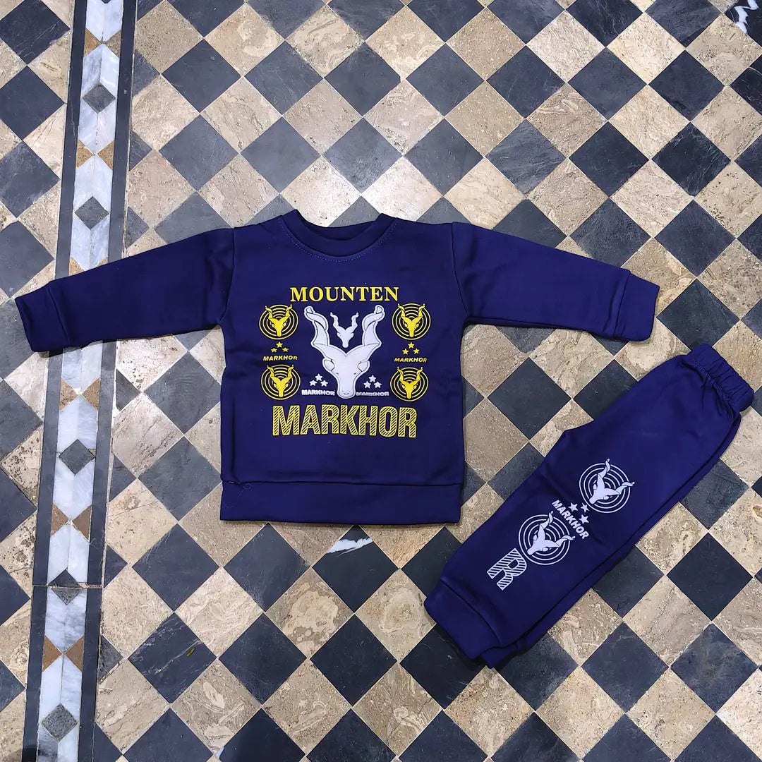 Winter 2 Pcs Boy's Fleece Printed Sweatshirt Tracksuit
