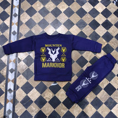 Winter 2 Pcs Boy's Fleece Printed Sweatshirt Tracksuit
